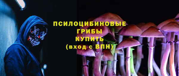 прущие грибы Алзамай
