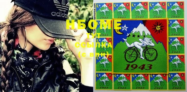 прущие грибы Алзамай