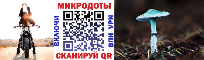 где продают Западная Двина Псилоцибиновые грибы ЛСД