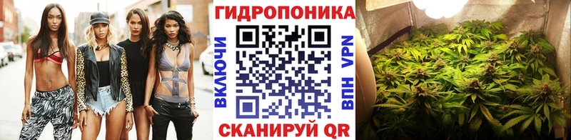 Каннабис план Западная Двина